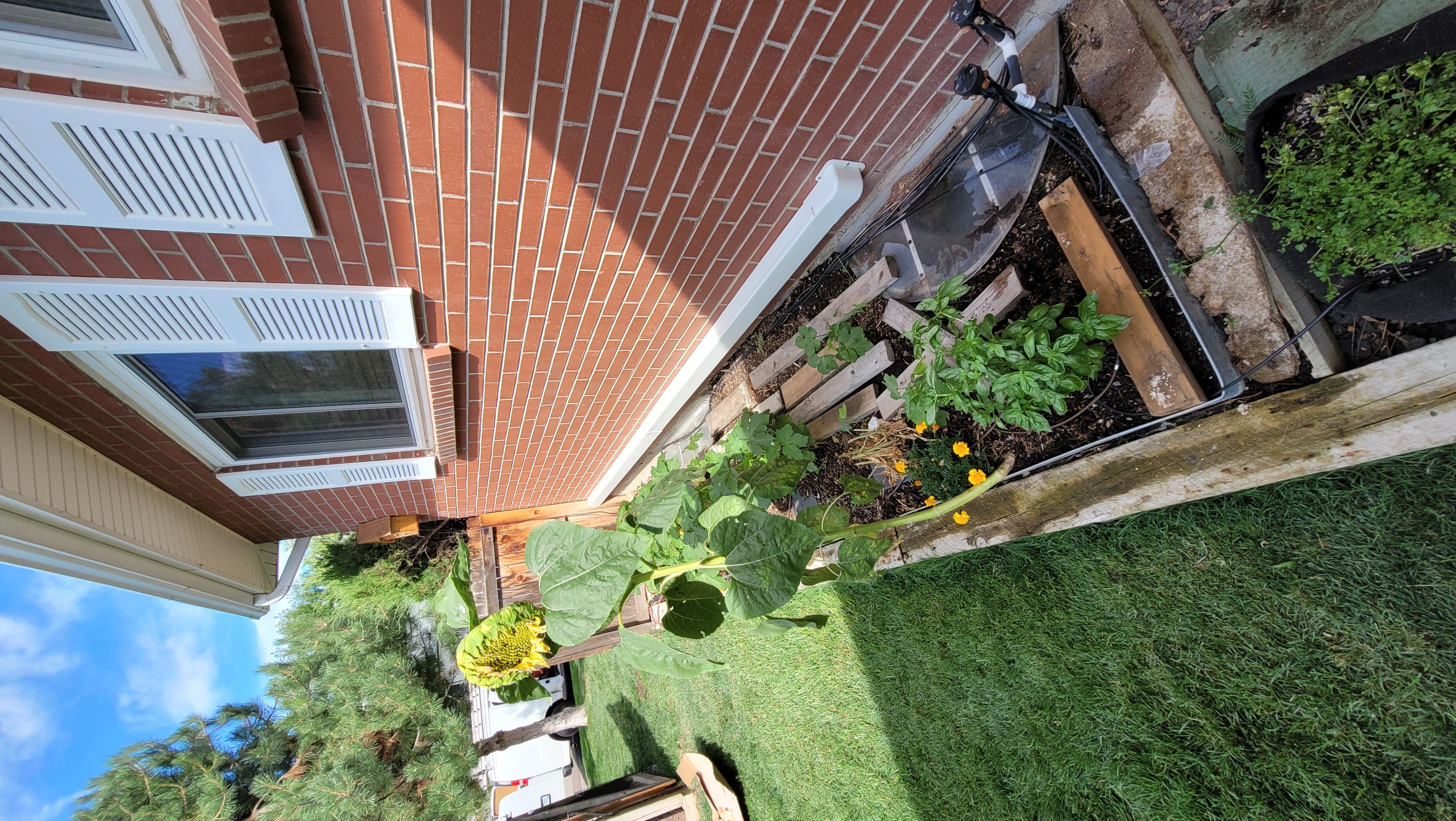 Heating system service